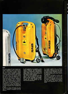 RAID CATALOG