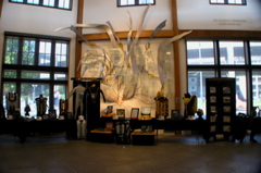 DSCN0239